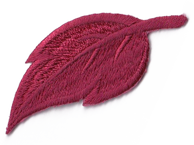 FOGLIA MEDIA VARI COLORI