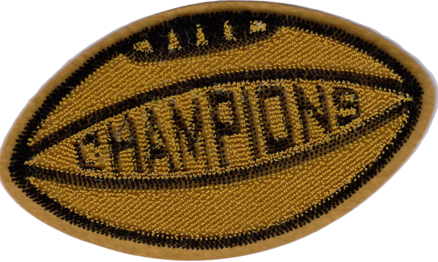 CHAMPIONS SPUGNA 0740-5419-000