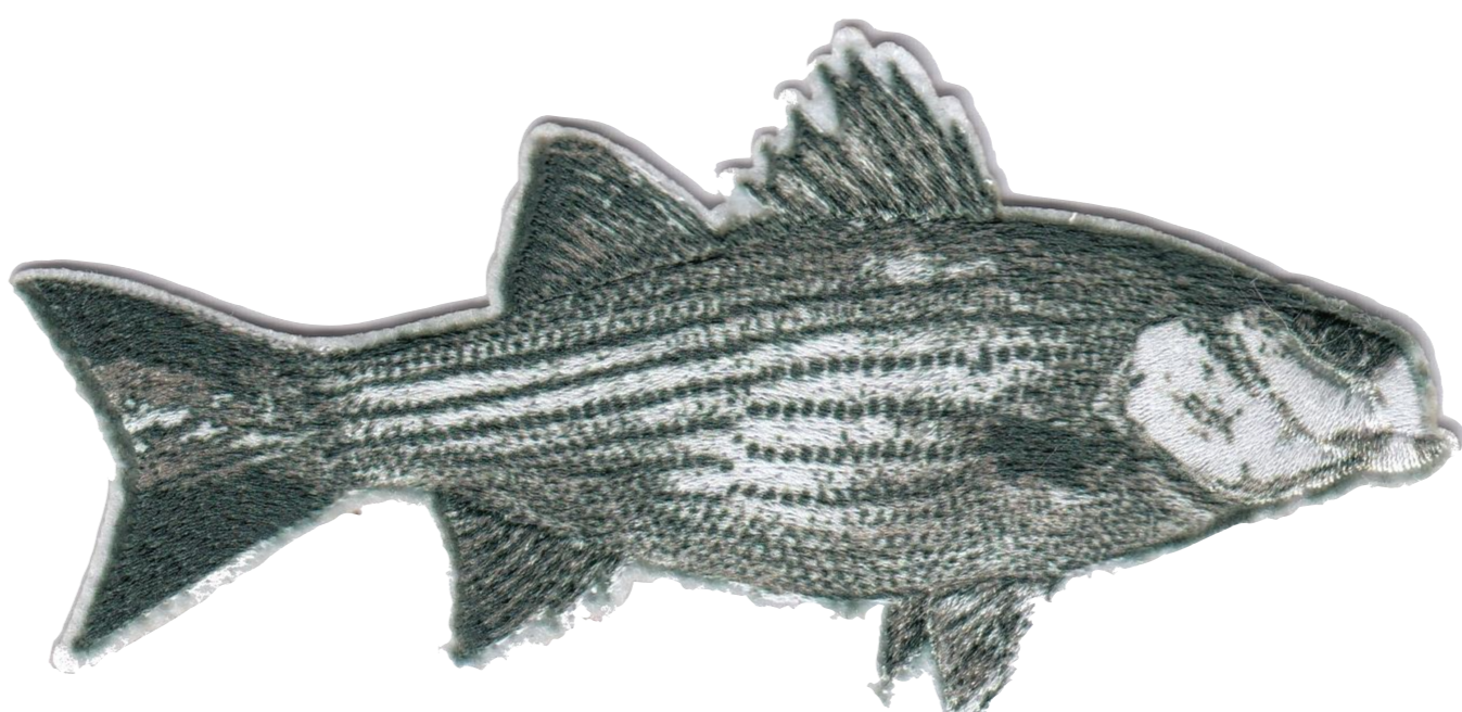 FISH 0750-5429-000