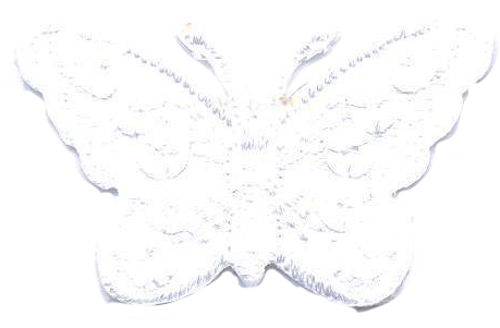 FARFALLA PICC.+PAILLETTES VARI COLORI