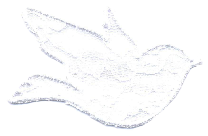 COLOMBA IN PIZZO 1713-9529-A00