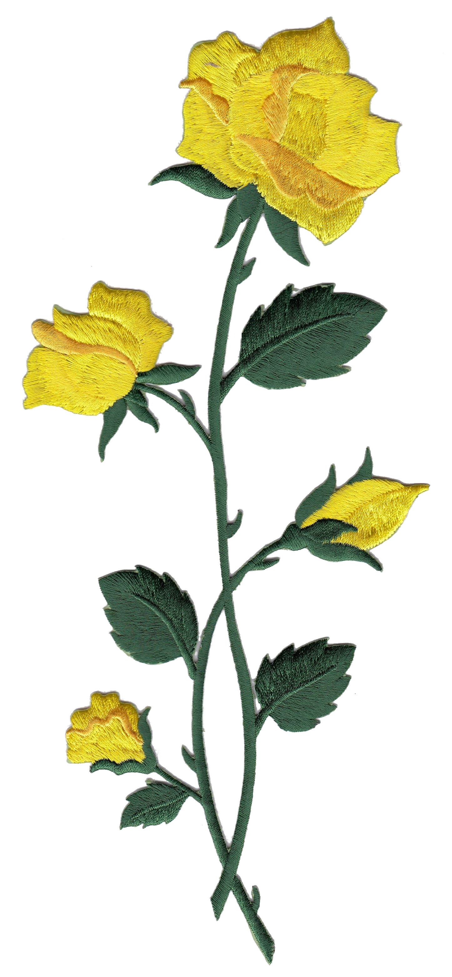 ROSA GRANDE GIALLA 1952-9767-000