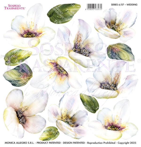 PELLICOLE MODELLABILI SERIE 6