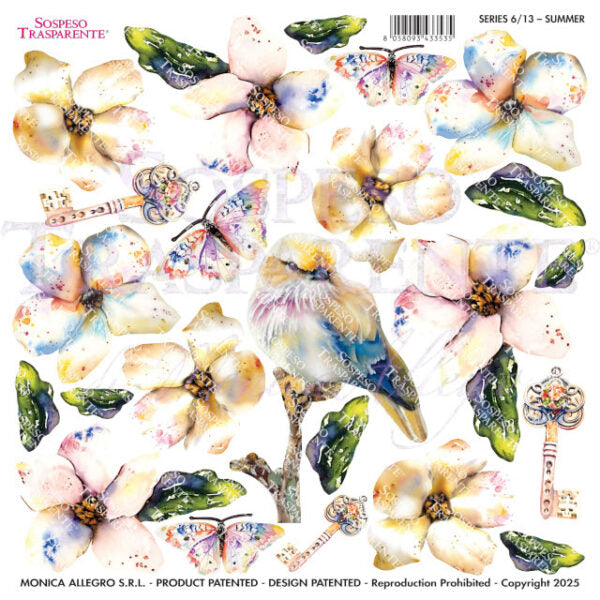 PELLICOLE MODELLABILI SERIE 6