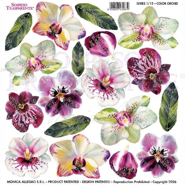 PELLICOLE MODELLABILI SERIE 1