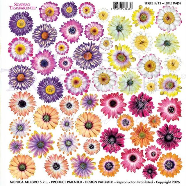 PELLICOLE MODELLABILI SERIE 5