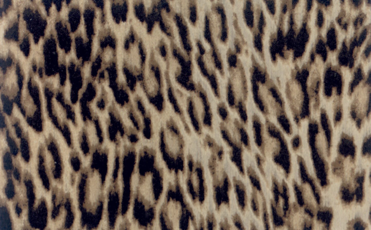TOPPE JEANS TERMOADESIVE