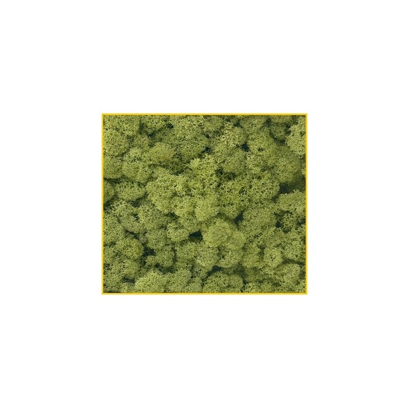 35 g BUSTINA chiaro e scuro assortiti verde Ancora 08610 decoro di muschio 