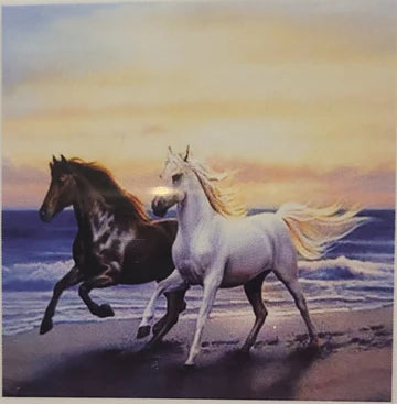 QUADRETTI 20x20 (tela colorata, disegno centrale a diamantini)