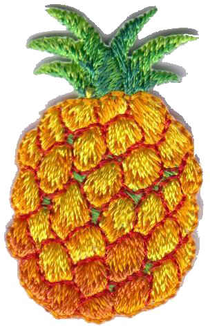 ANANAS  0107-5071-C00