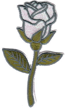 ROSA GLITTER 0425-5255-001