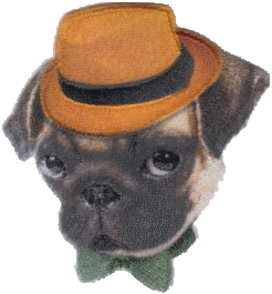 PETS LINE F 0536-5290-F00