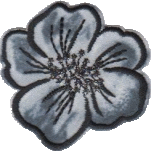 FIORE 0538-5292-000