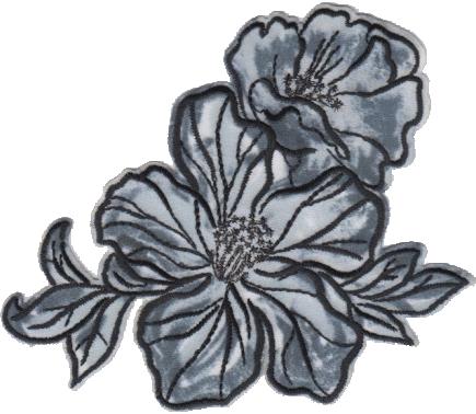 FIORI 0539-5293-000