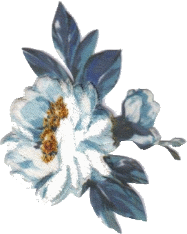 FLOWER 0541-5303-000