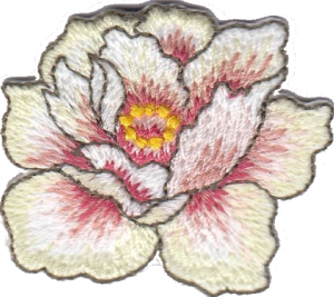 SERIE FIORI 0681-5377-A00