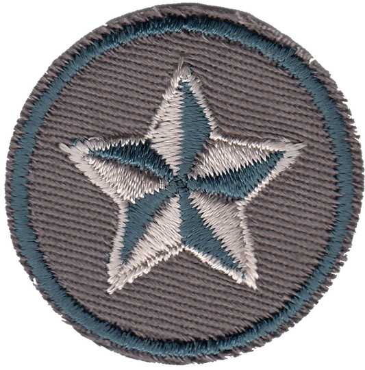 STAR 1180-5597-010