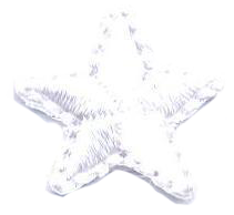 SERIE STELLA MINI  1381-9069-D00