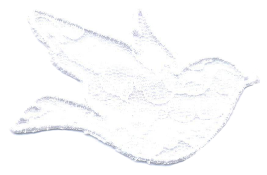 COLOMBA IN PIZZO  1713-9529-A00
