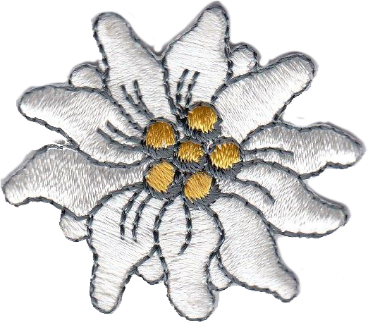 STELLA ALPINA 1889-9722-000