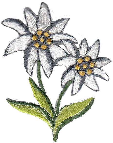 STELLE ALPINE 1890-9723-000