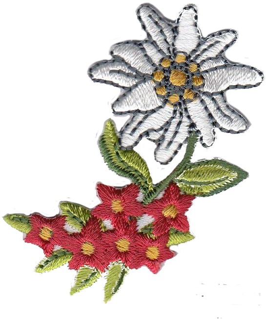 STELLA ALPINA CON FIORI 1891-9724-000