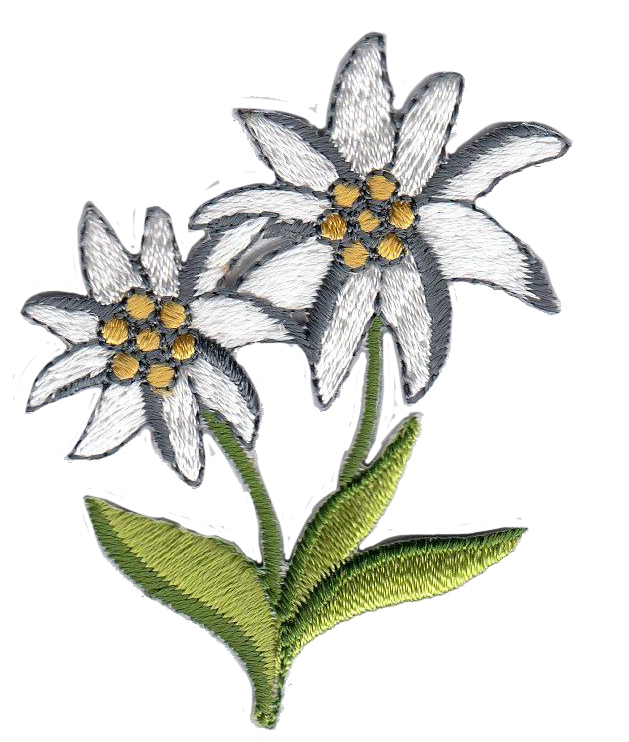 STELLA ALPINA DX [B] 1958-9772-B00