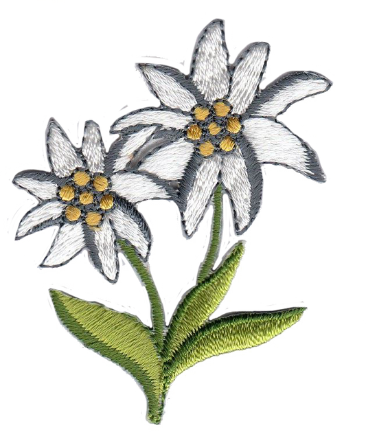 STELLA ALPINA DX [B] 1958-9772-B00