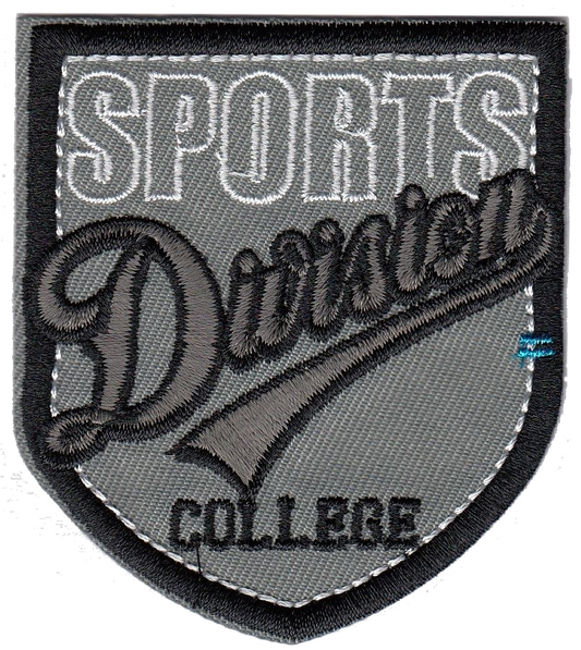 DIVISION 2038-9902-000