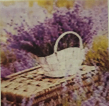 QUADRETTI 20x20 (tela colorata, disegno centrale a diamantini)