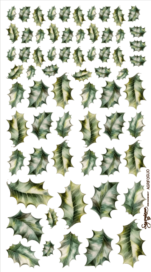 PANNELLO AGRIFOGLIO 25X45 PAN 03