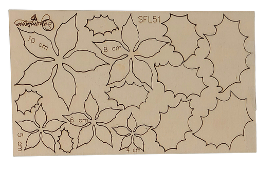 FORMALLEGRA STELLA E AGRIFOGLIO SFL 51