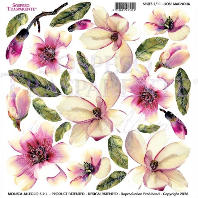 PELLICOLE MODELLABILI SERIE 2