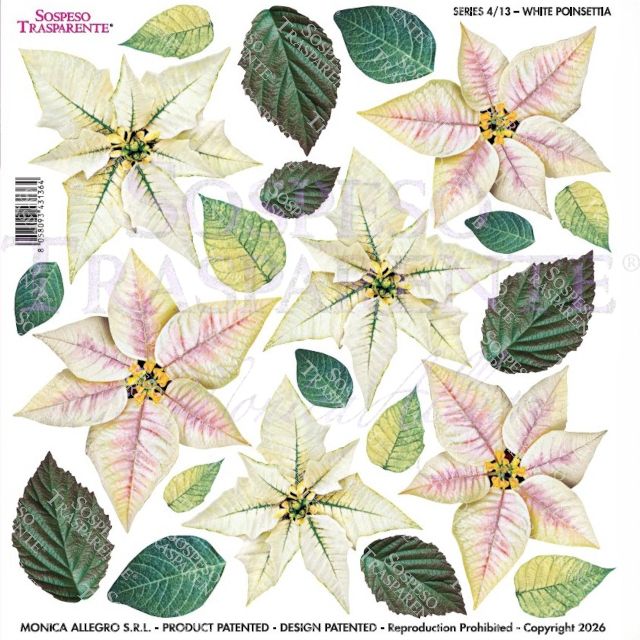 PELLICOLE MODELLABILI SERIE 4