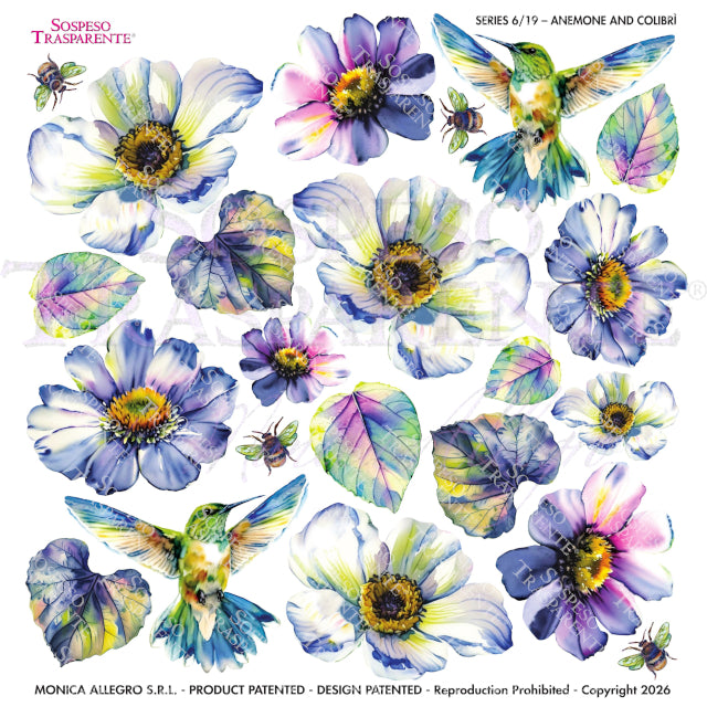 PELLICOLE MODELLABILI SERIE 6