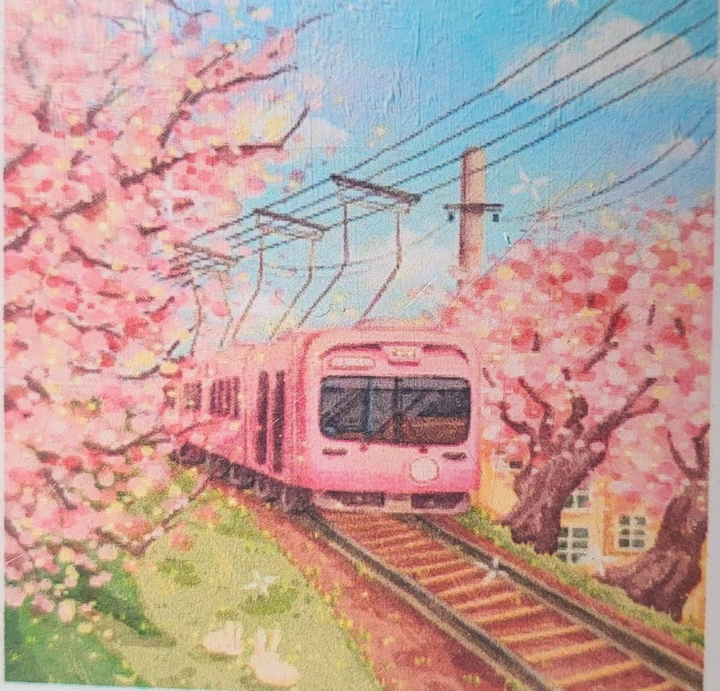 TELE 20x20 (tela colorata, disegno centrale a diamantini)